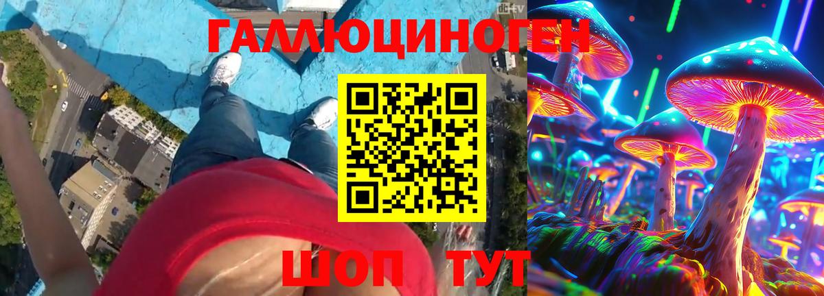 Мытищи  Псилоцибиновые грибы Magic Shrooms  Вход с VPN 