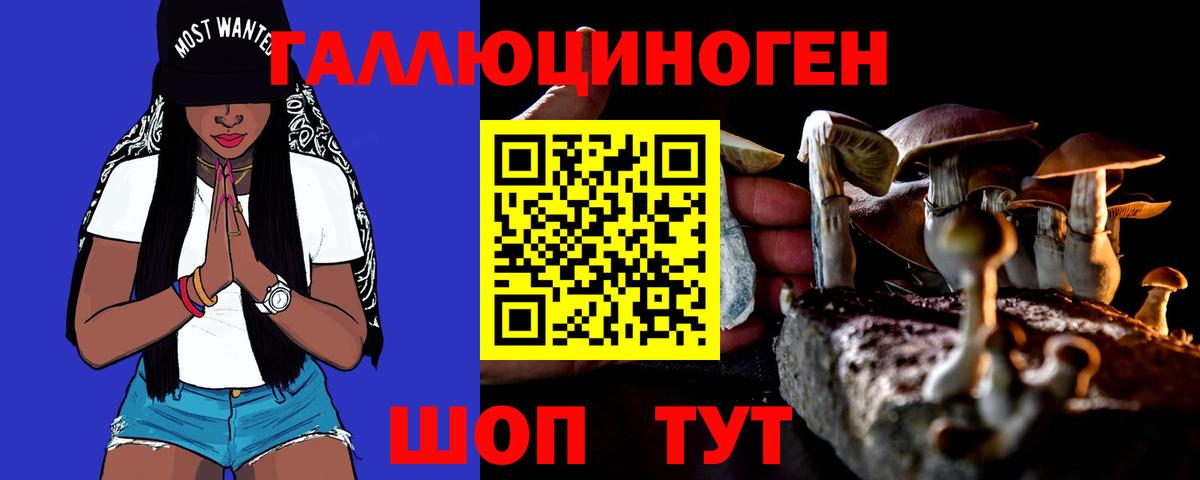 Галлюциногенные грибы Cubensis Мытищи
